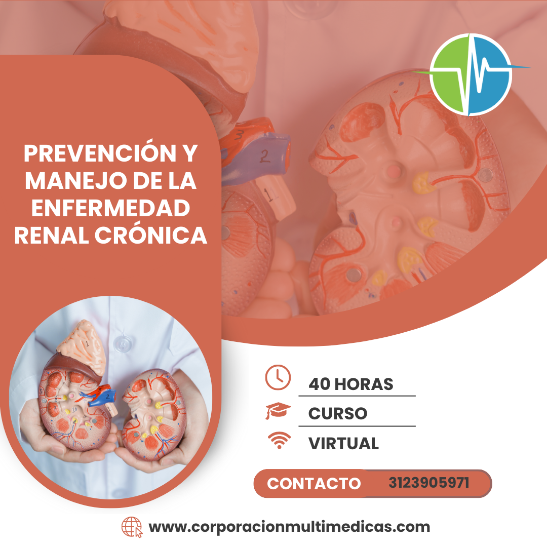 RENAL CRÓNICO