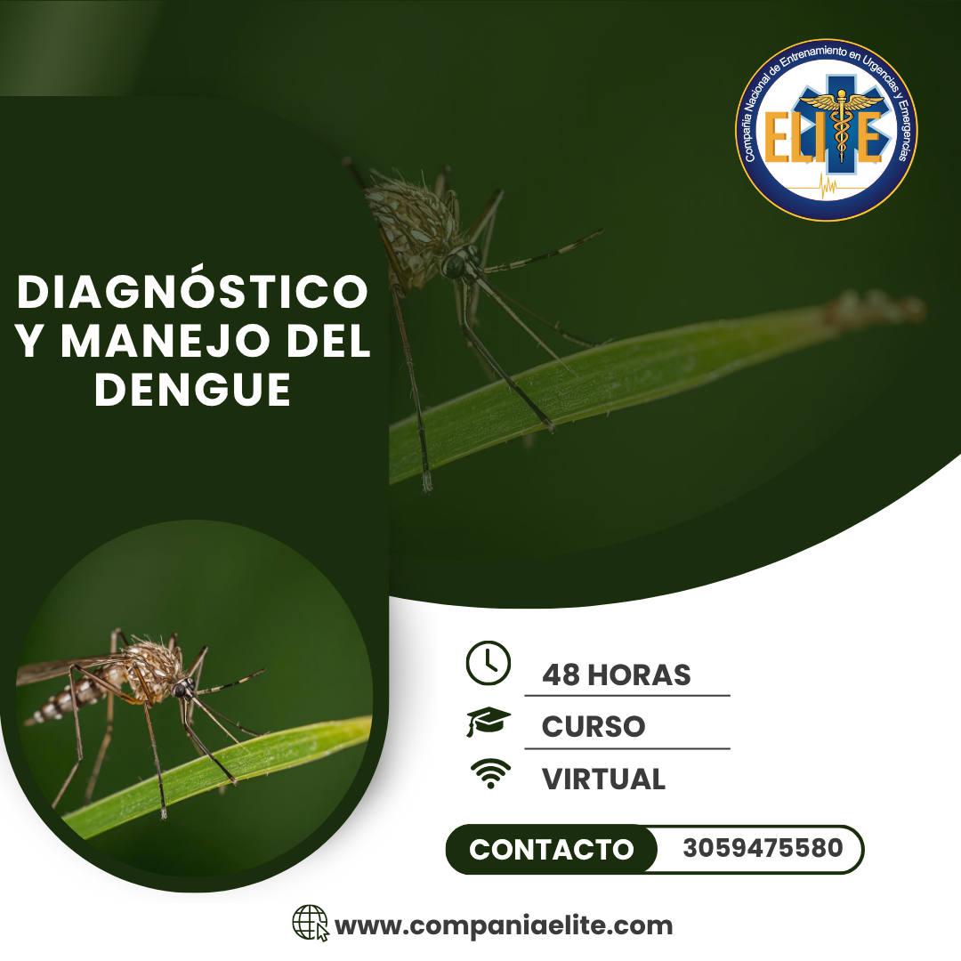 DENGUE