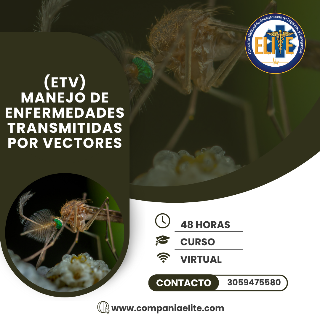 VECTORES